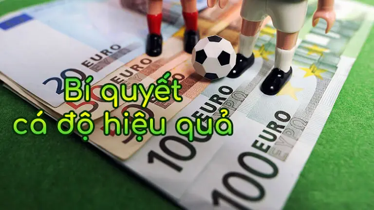 Chia sẻ những kinh nghiệm sảnh euro sport độc quyền